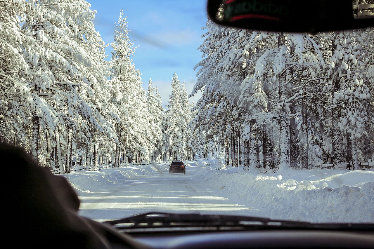 Truckee &mdash; Truckee forest road (Unsplash)
