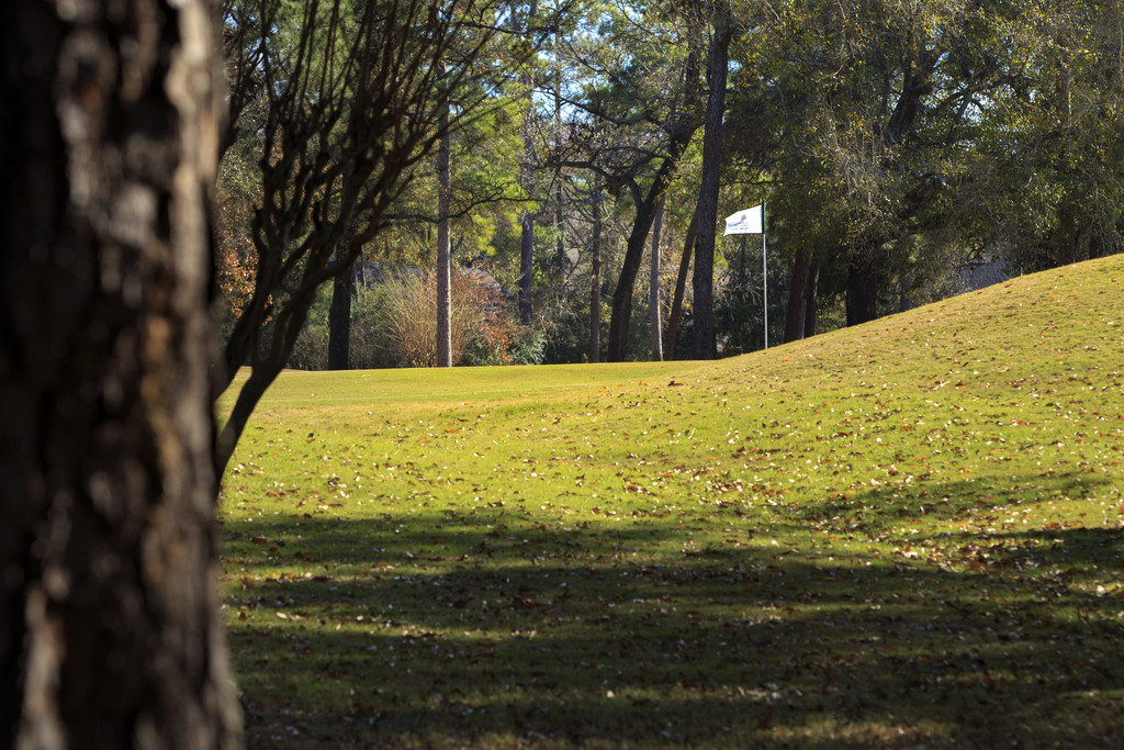 The Woodlands &mdash; Woodlands Tournament Golf Course