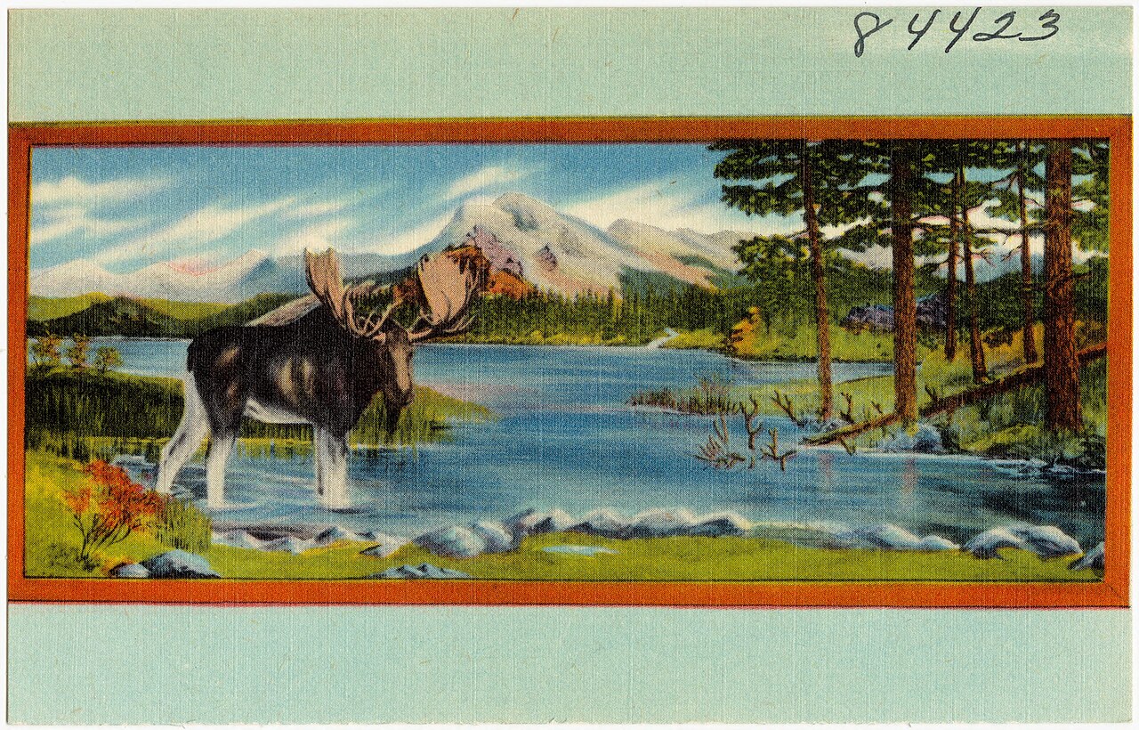 Kalispell &mdash; Loyal order of Moose, Kalispell Lodge No. 462, room 9, Adams Block, Kalispell, Montana (84423)