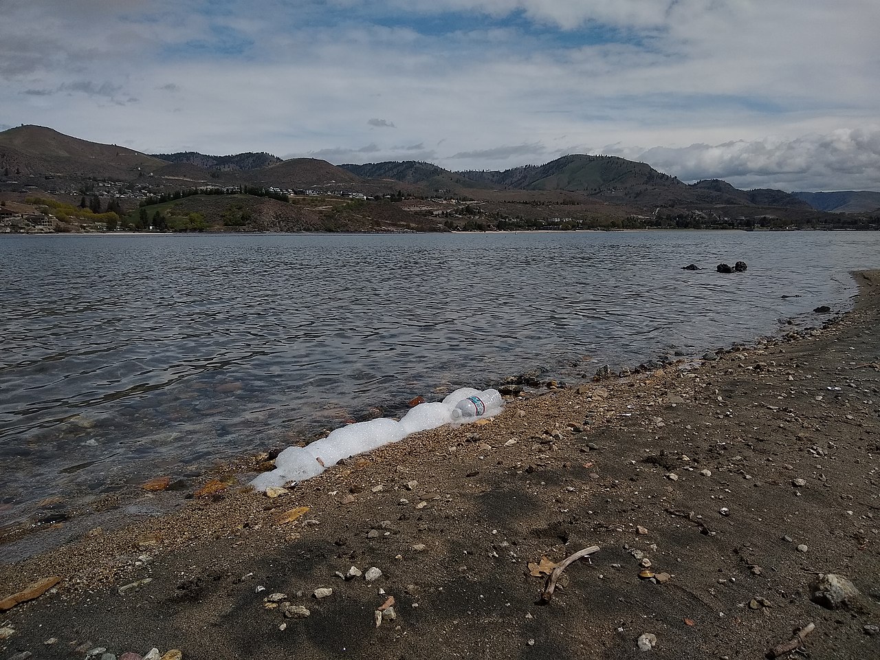 Lake Chelan — Lake Chelan- water pollution