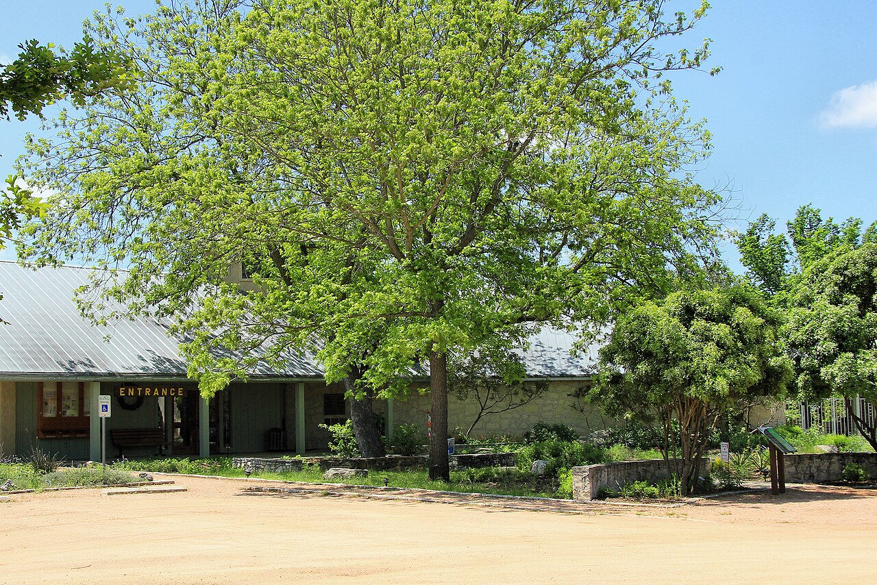 Kerrville &mdash; Riverside nature center kerrville tx