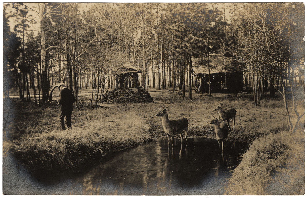 Pinehurst &mdash; Park in Pinehurst, 1906
