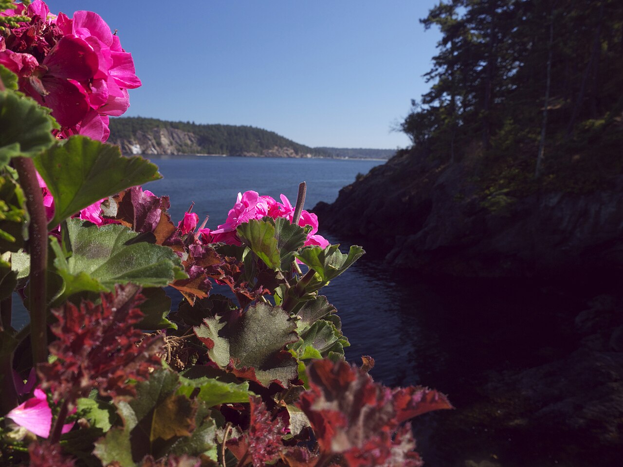 San Juan Islands — San Juan Islands 01 (6550508095) (2)